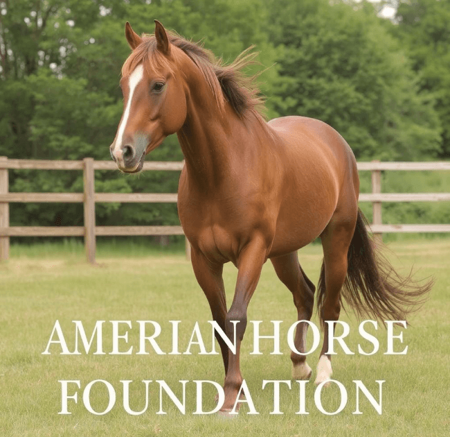 2025 USA Scholarship Program by the American Quarter Horse Foundation (AQHF)