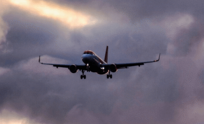 Plane makes emergency landing after rabbit gets sucked into engine